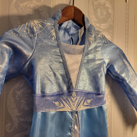 Frozen Elsa Dress up Dress - Picture 3 of 6